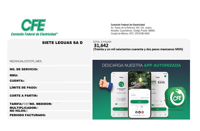 Recibo Caro CFE